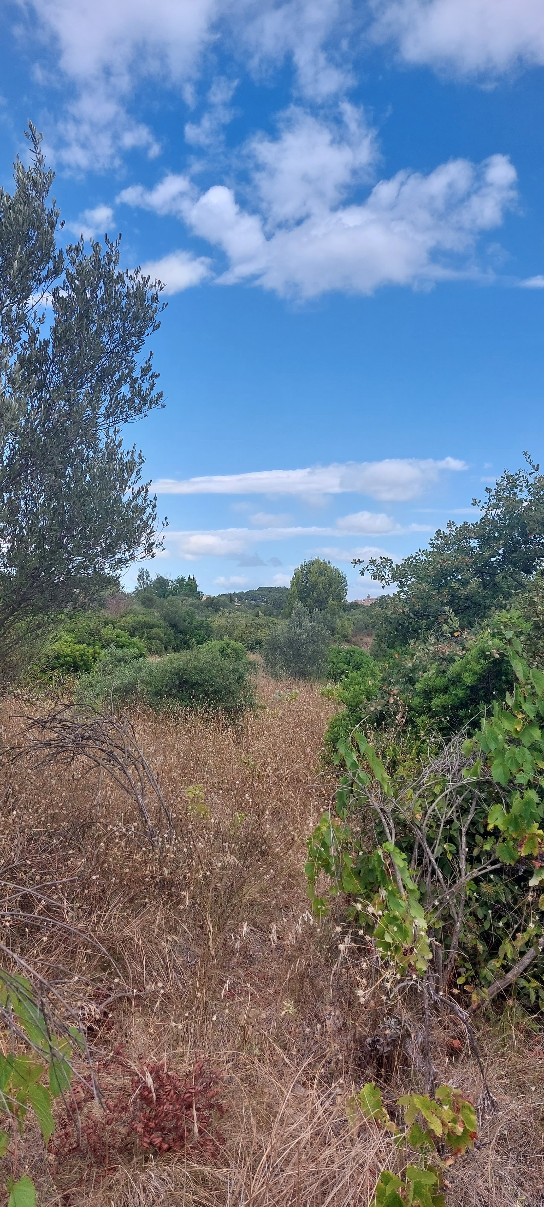 Photo n° 4 de l'avis de Angélique.a fait le 03/08/2023 à 16:27