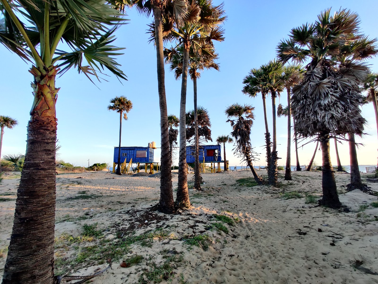 ARSA Beach'in fotoğrafı ve yerleşim