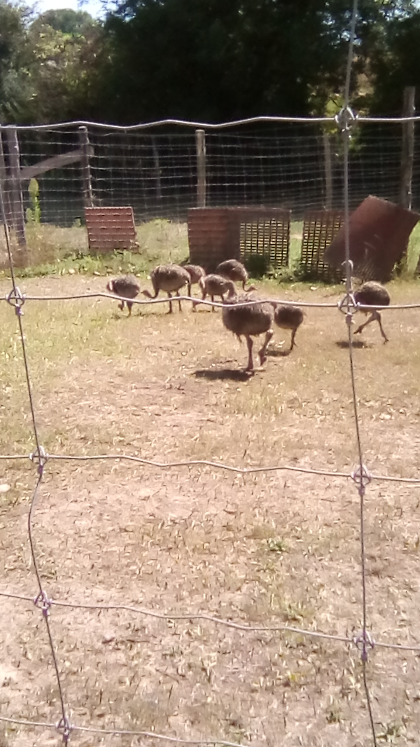 Photo n° 3 de l'avis de Jessika.i fait le 13/08/2018 à 17:23