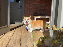 Top Dog Kennel - Photo 3 - Car repair in Swannanoa, NC, Asheville