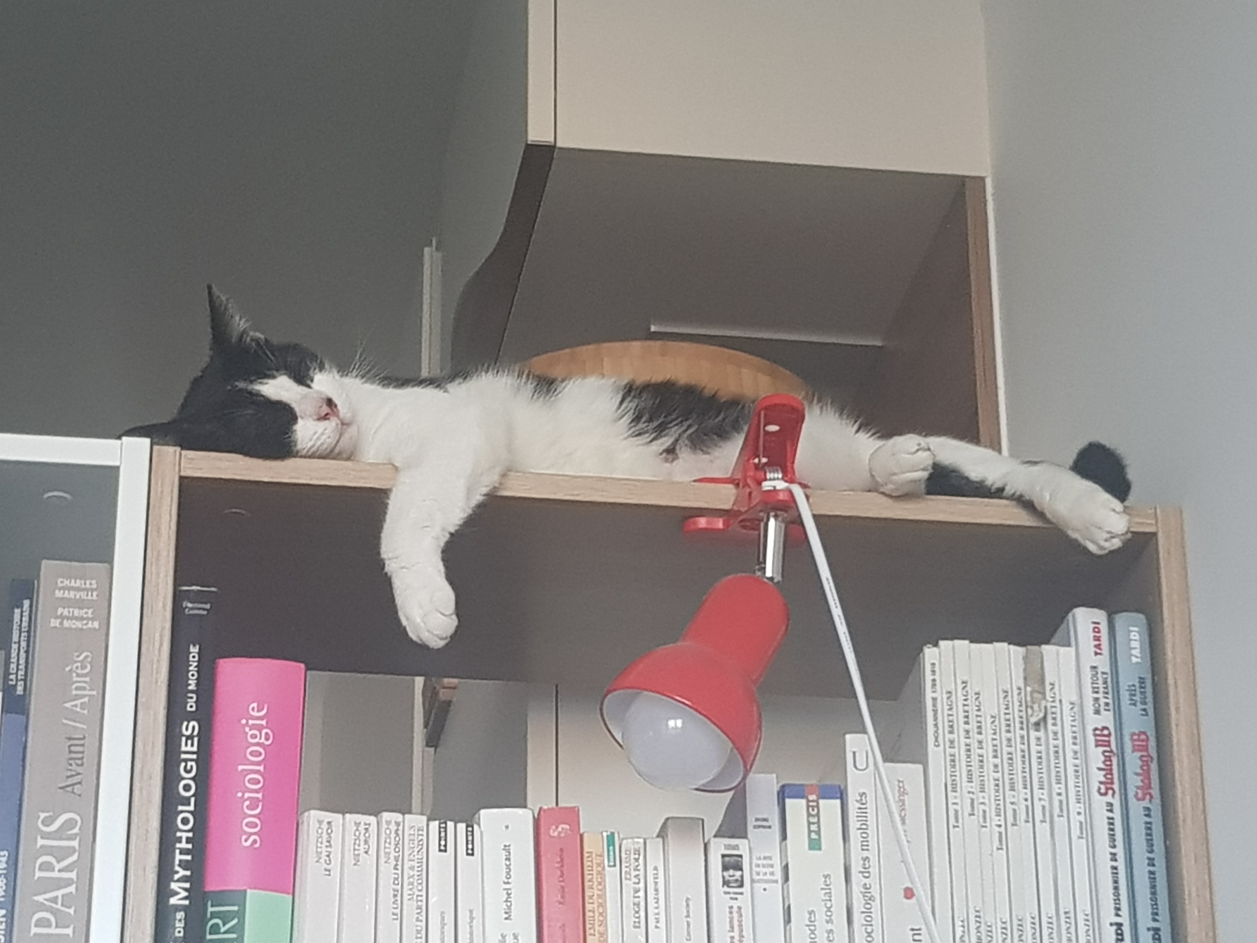 Photo n° 2 de l'avis de Yves.e fait le 08/09/2021 à 09:22