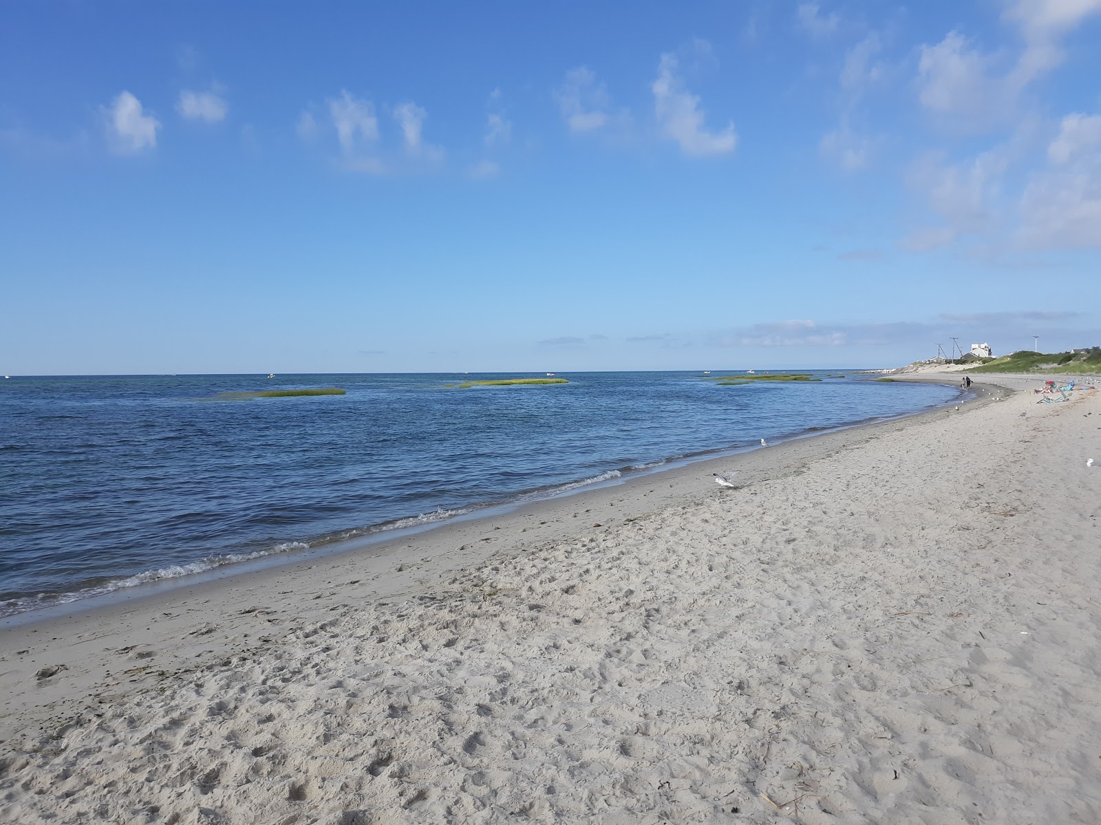 Fotografie cu Chapin Memorial beach cu nivelul de curățenie înalt