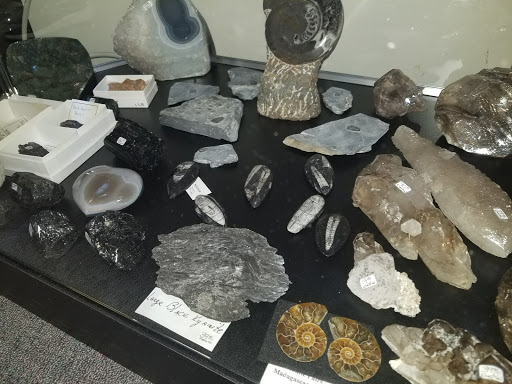 Book Store «Renaissance Books & Gifts», reviews and photos, 1337 E Montclair St, Springfield, MO 65804, USA