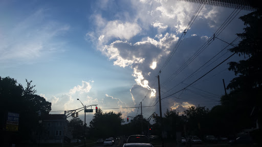 Pet Store «Mike Pet Center LLC», reviews and photos, 133 NJ-35, Neptune City, NJ 07753, USA