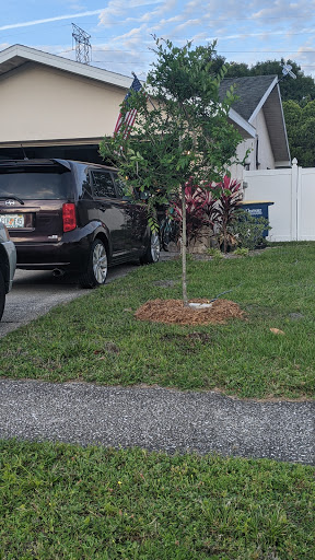 Plant Nursery «Wilcox Nursery», reviews and photos, 12501 Indian Rocks Rd, Largo, FL 33774, USA