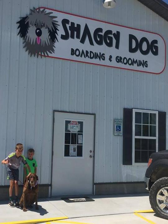 Shaggy Dog Grooming & Boarding
