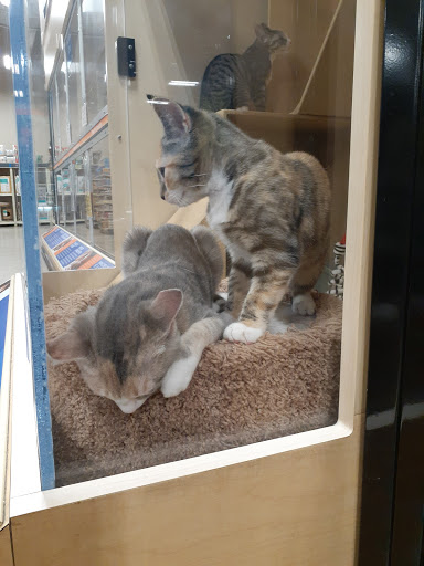 Pet Supply Store «PetSmart», reviews and photos, 1183 Berkshire Blvd, Wyomissing, PA 19610, USA
