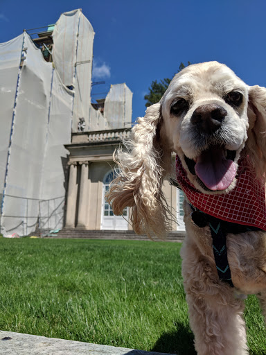 Tourist Attraction «Old Westbury Gardens», reviews and photos, 71 Old Westbury Rd, Westbury, NY 11590, USA