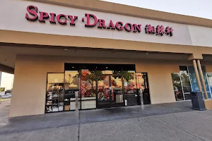 Spicy Dragon image