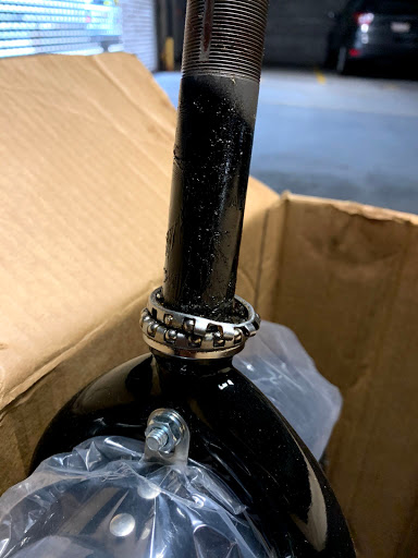 Bicycle Store «Back Bay Bicycles», reviews and photos, 362 Commonwealth Avenue, Boston, MA 02115, USA