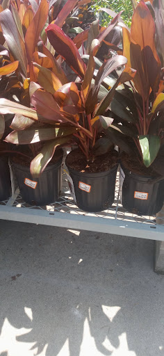 Home Improvement Store «The Home Depot», reviews and photos, 4829 US-90, Pace, FL 32571, USA