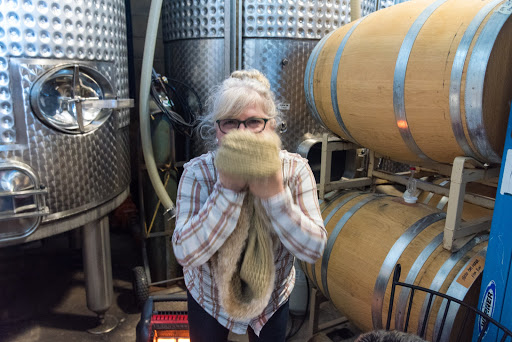 Vineyard «Chatham Vineyards & Winery», reviews and photos, 9232 Chatham Rd, Machipongo, VA 23405, USA