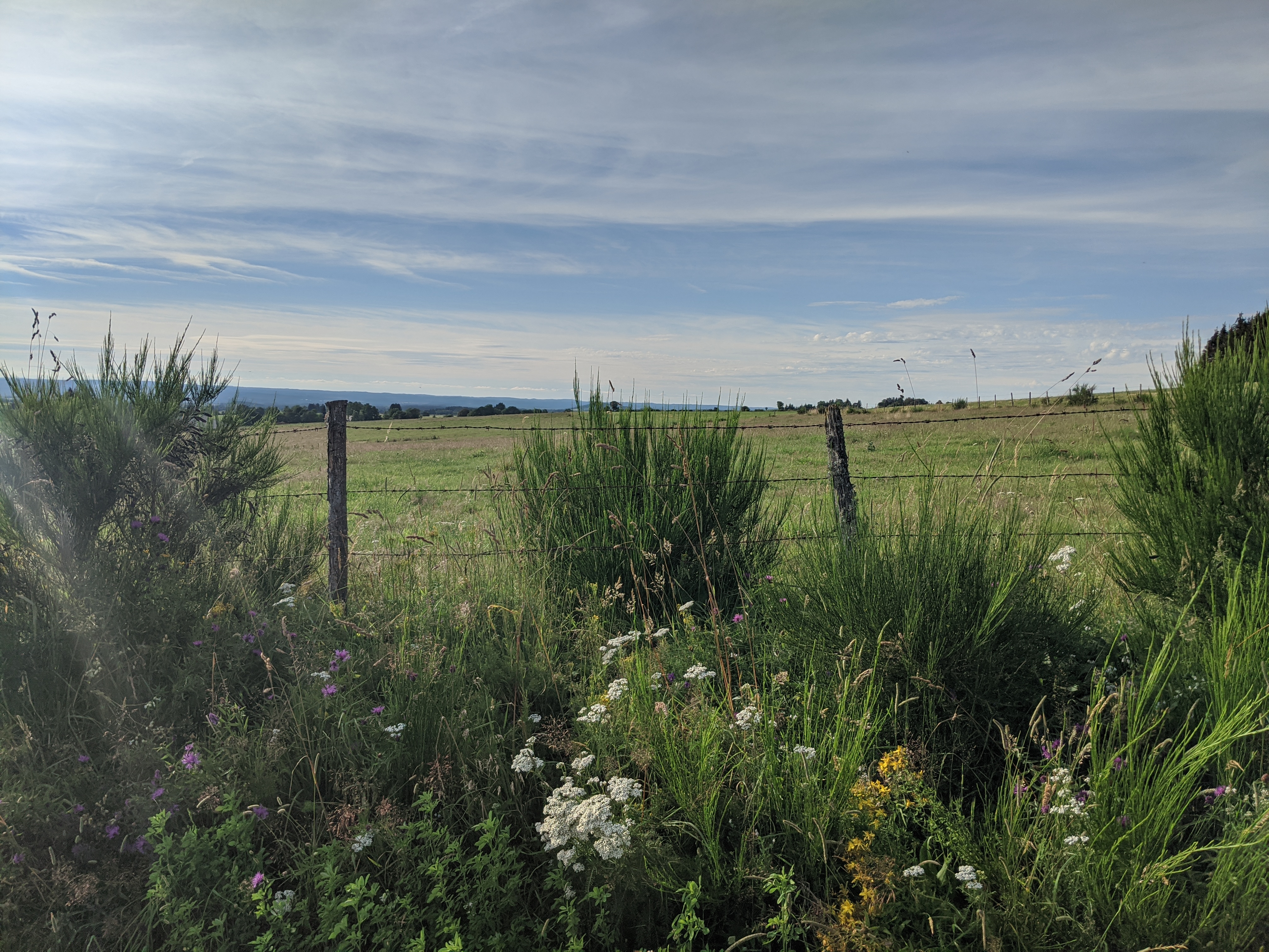 Photo n° 2 de l'avis de Ludovic.a fait le 01/08/2020 à 12:49