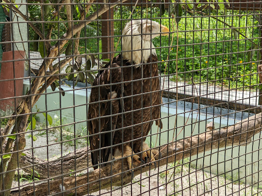 Nature Preserve «Calusa Nature Center & Planetarium», reviews and photos, 3450 Ortiz Ave, Fort Myers, FL 33905, USA