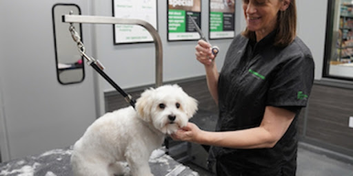 Pet Supply Store «Pet Supplies Plus», reviews and photos, 2982 S Illinois 83, Mundelein, IL 60060, USA