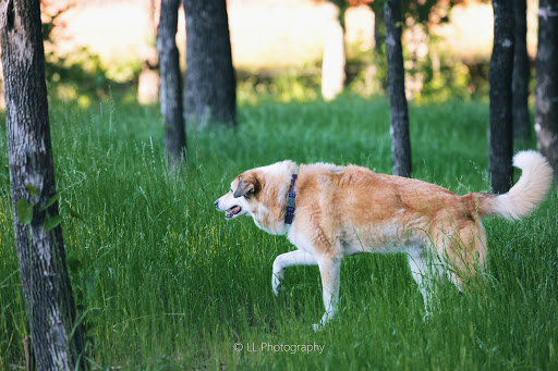 Park «Heritage Park», reviews and photos, 600 Spinks Rd, Flower Mound, TX 75028, USA