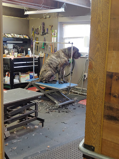 Jenn'z Petz Grooming