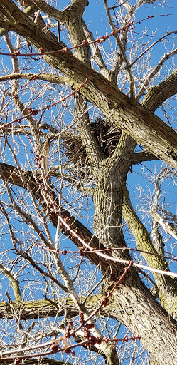 Nature Preserve «Marais Temps Clair Conservation Area», reviews and photos, 5134 Island Road, St Charles, MO 63301, USA