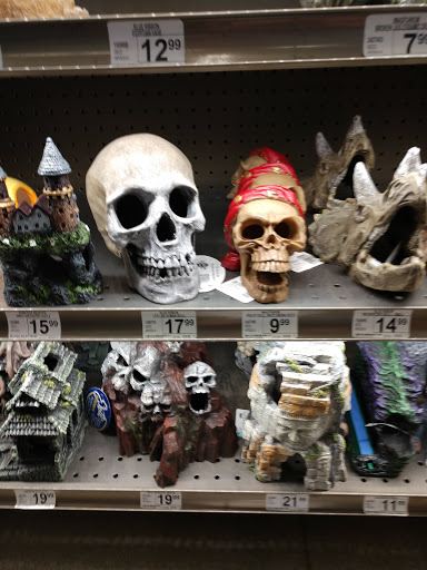 Pet Supply Store «Petco Animal Supplies», reviews and photos, 226 Thornton Drive, Dickson, TN 37055, USA