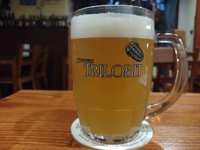 Recenze na Pivnice Pivovaru Trilobit v Praha - Bar