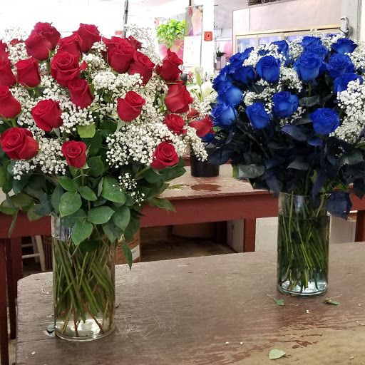 Florist «Exotic Flowers», reviews and photos, 609 American Legion Hwy, Boston, MA 02131, USA