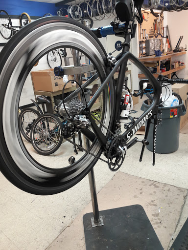 Bicycle Store «Elk Grove Bike Shop», reviews and photos, 9633 E Stockton Blvd, Elk Grove, CA 95624, USA