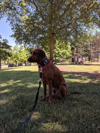 Park «Alberta Park», reviews and photos, 1905 NE Killingsworth St, Portland, OR 97211, USA