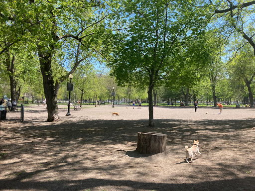 Dog Park Parc La Fontaine