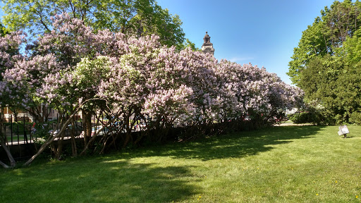 History Museum «James J. Hill House», reviews and photos, 240 Summit Ave, St Paul, MN 55102, USA