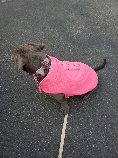 Pet Supply Store «Animal House Grooming & Quality», reviews and photos, 229 W Absecon Blvd, Absecon, NJ 08201, USA