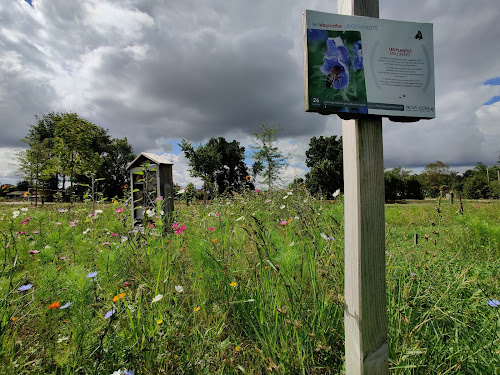 Le labyrinthe de la biodiversité à Lombez