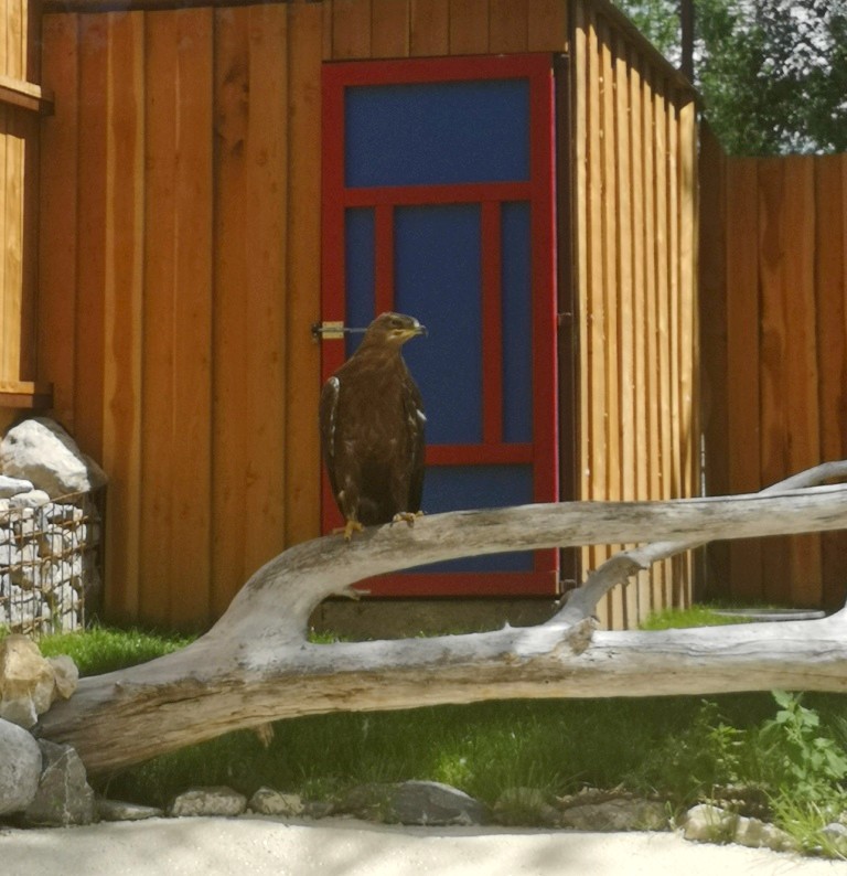 Photo n° 20 de l'avis de Thierry.E fait le 17/06/2022 à 17:40