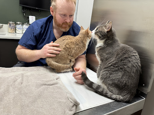 North Jersey Animal Hospital image