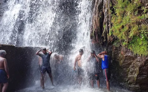 Agasthiyar Falls image