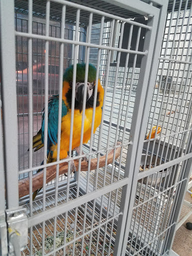 Pet Store «El Palomar Pet Shop Inc», reviews and photos, 4712 W Flagler St, Coral Gables, FL 33134, USA