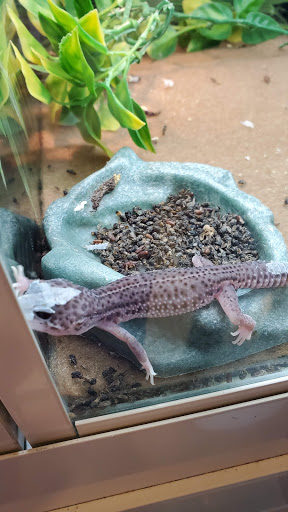 Pet Supply Store «PetSmart», reviews and photos, 2929 James Sanders Blvd f, Paducah, KY 42001, USA