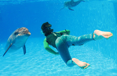 Dolphintherapy center in Egypt
