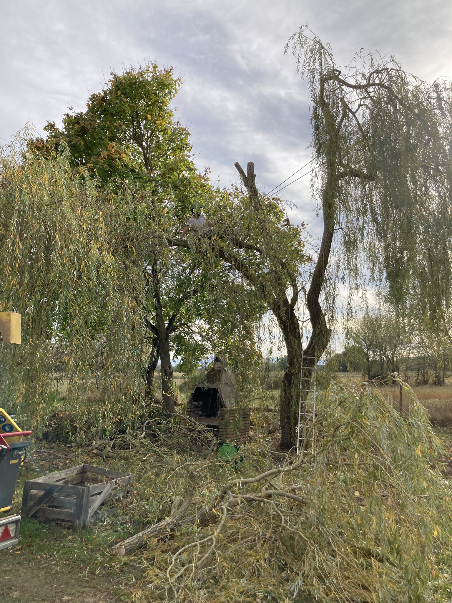 Photo n° 1 de l'avis de Lise.i fait le 17/11/2022 à 19:14