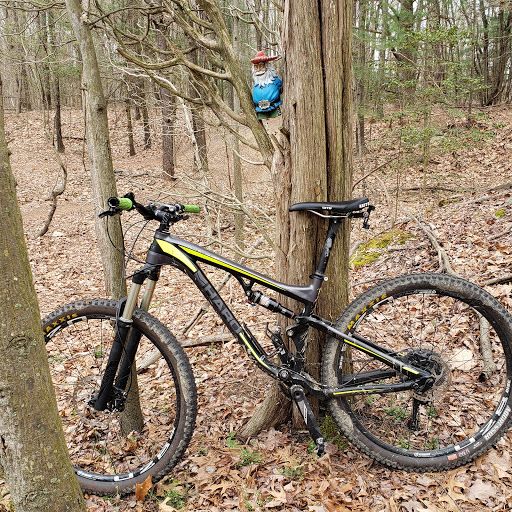 Bicycle Store «Sneakers & Spokes», reviews and photos, 26 N Main St, Woodstown, NJ 08098, USA