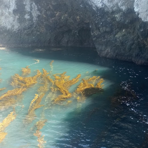 Island Packers Cruises - Oxnard image