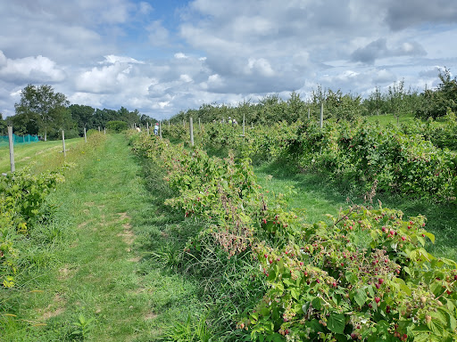 Orchard «Autumn Hills Orchard», reviews and photos, 495 Chicopee Row, Groton, MA 01450, USA
