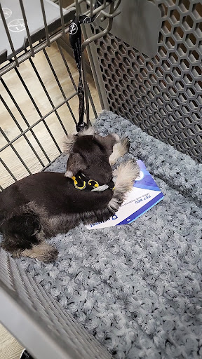 Pet Supply Store «Petland Dallas», reviews and photos, 11909 Preston Rd, Dallas, TX 75230, USA