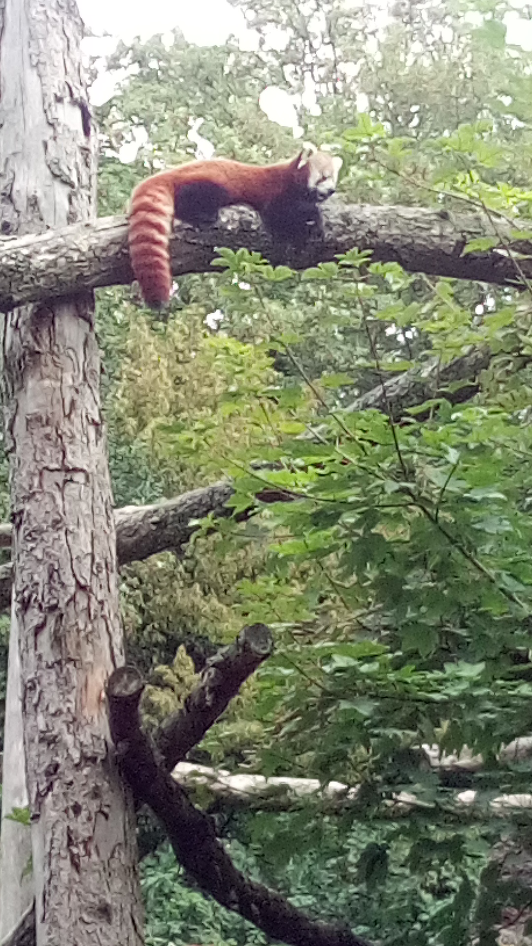 Photo n° 1 de l'avis de Prescillia.u fait le 12/08/2023 à 18:56