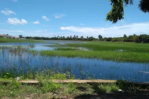 Lagoa Seca image