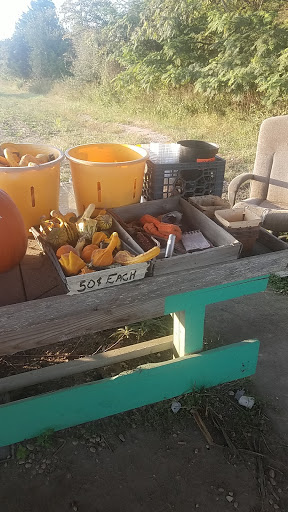 Grocery Store «Liepes Farm & Market», reviews and photos, 3135 S Cologne Ave, Mays Landing, NJ 08330, USA