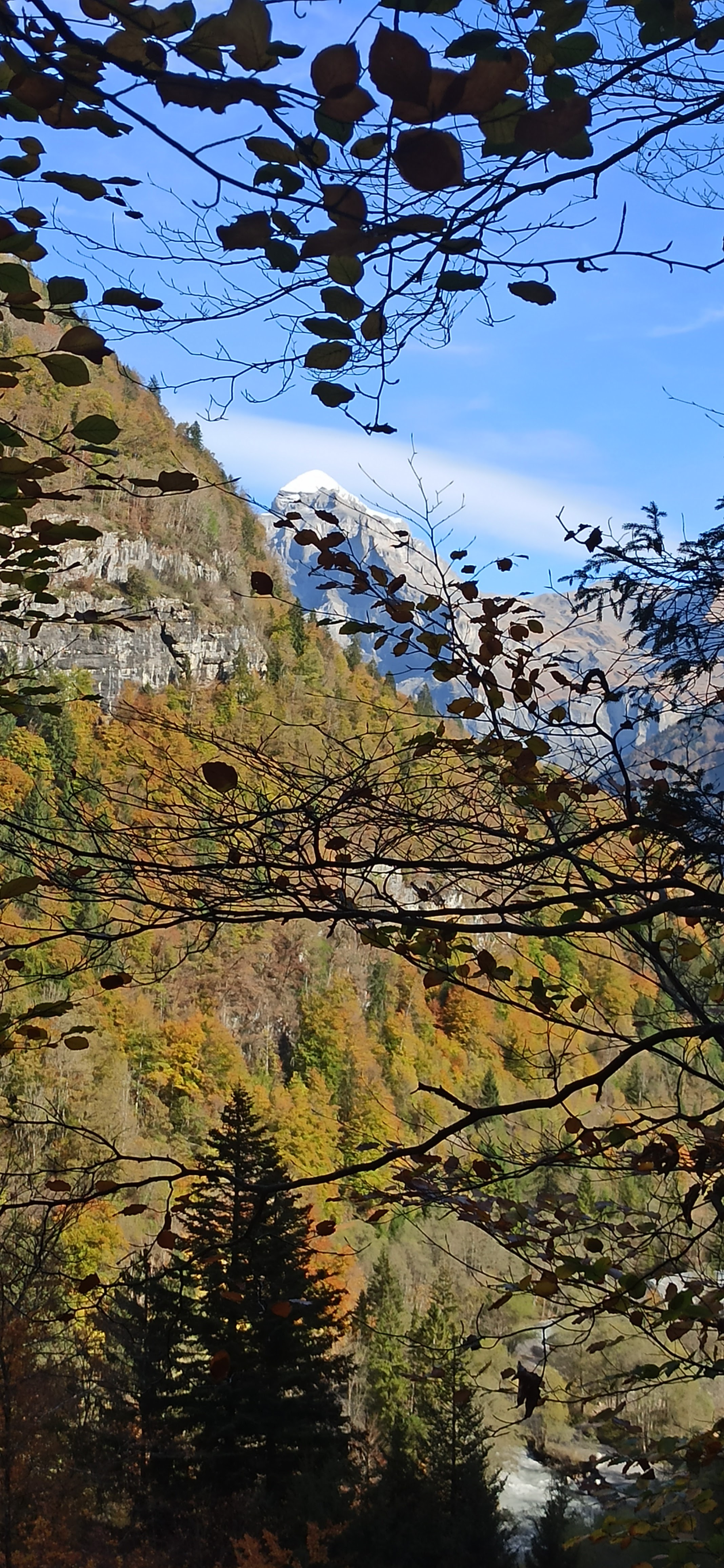 Photo n° 5 de l'avis de Anaïs.o fait le 28/10/2022 à 11:47