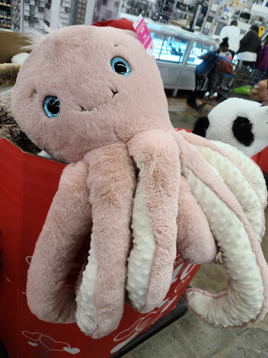 Department Store «Walmart Supercenter», reviews and photos, 1501 Skyland Blvd E, Tuscaloosa, AL 35405, USA