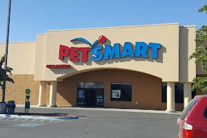 PetSmart image