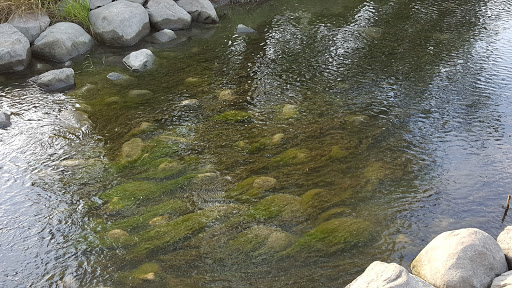 Nature Preserve «Rollins Savanna Forest Preserve», reviews and photos, 20160 W Washington St, Grayslake, IL 60030, USA