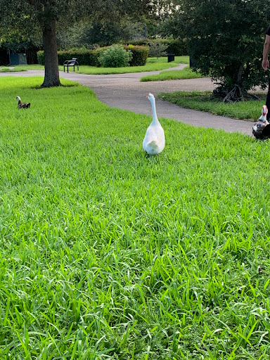 Park «Oak Lake Park», reviews and photos, 3190 N 56th Ave, Hollywood, FL 33021, USA